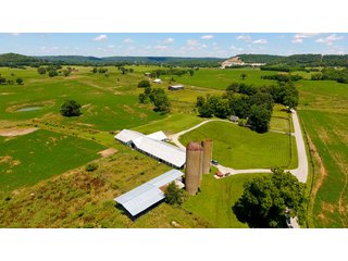 Tract 6 - LARGE KENTUCKY LAND AUCTION - 633+/- CONTIGUOUS ACRES IN 12 TRACTS IN HART COUNTY, KY